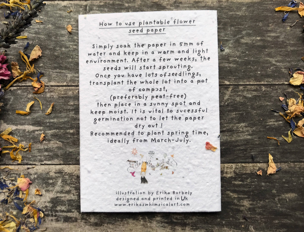 Plantable Seed Paper Birthday Card, Floral Note Cards