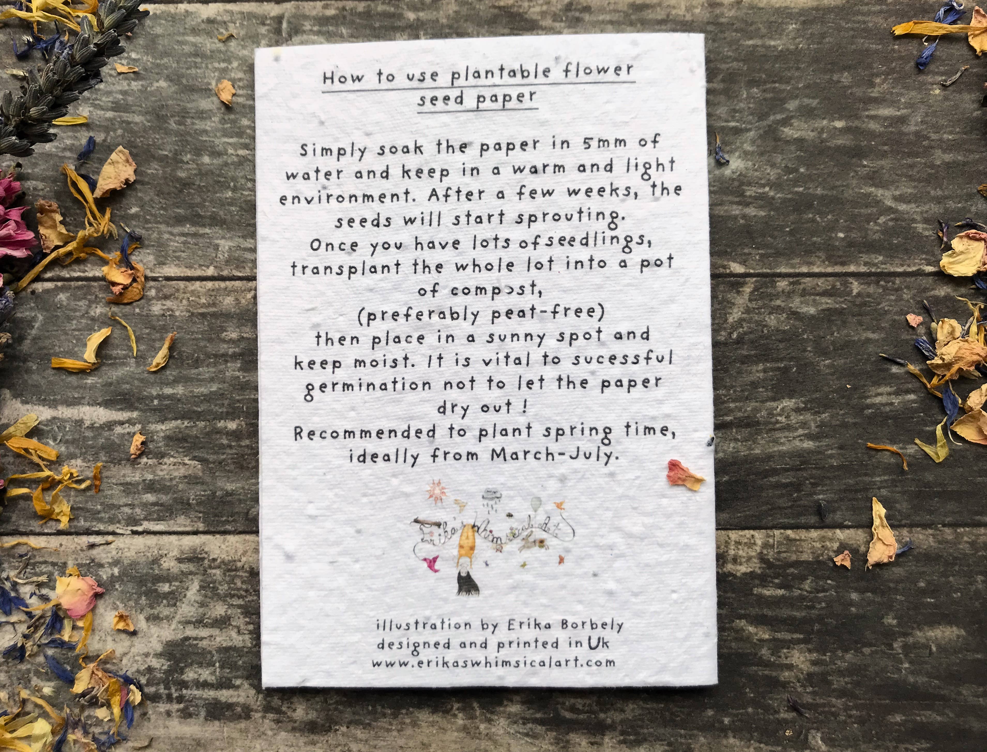 Plantable Seed Paper Birthday Card, Floral Note Cards