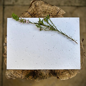 Plantable  Seed Paper Nan Birthday Card, Blank Inside,