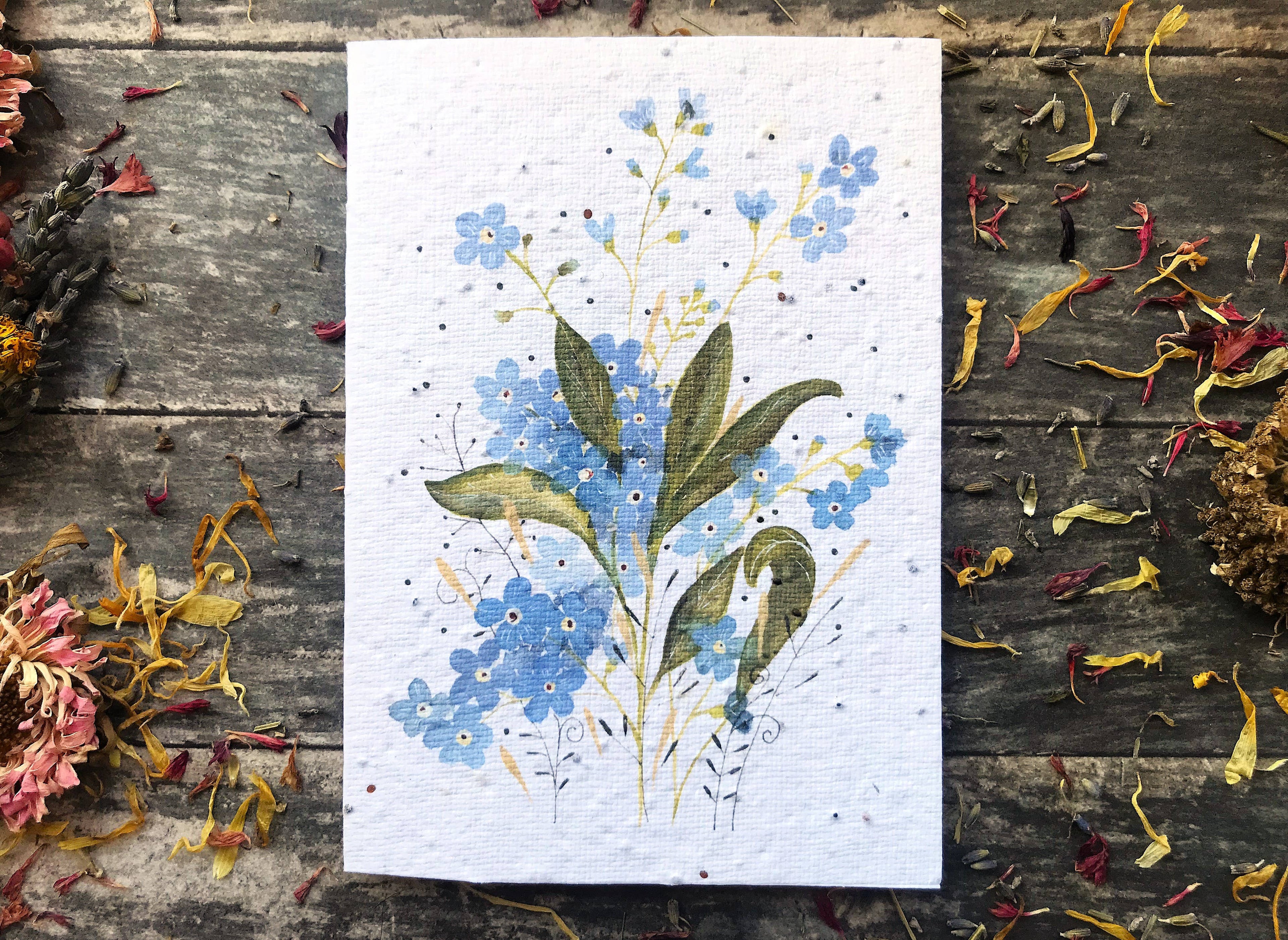 Plantable Seed Paper Birthday Card, Floral Note Cards