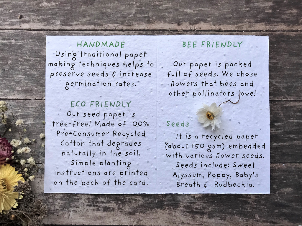 Plantable Seed Christmas Cards, illustrated Christmas Card