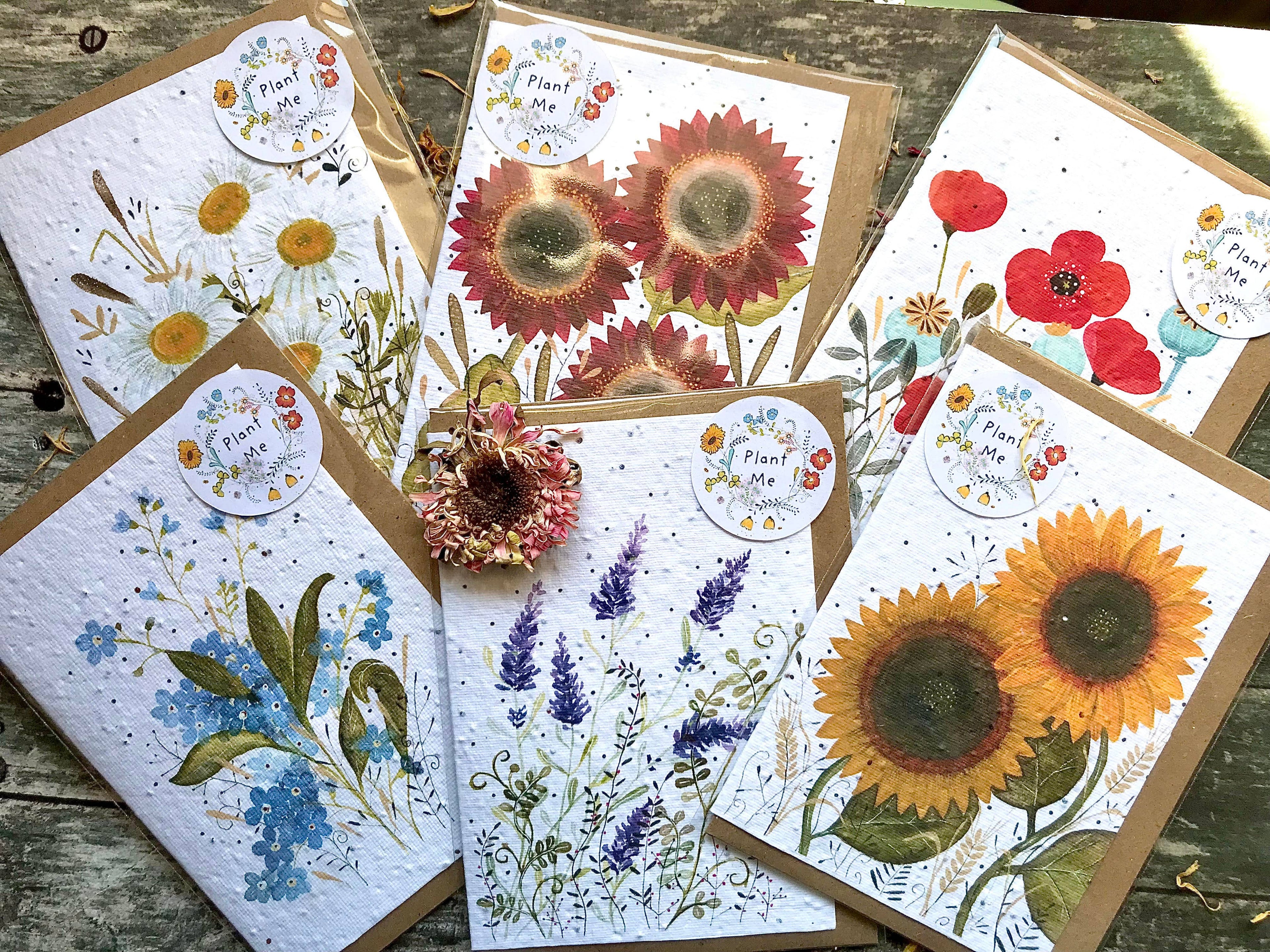 Plantable Seed Paper Birthday Card, Floral Note Cards
