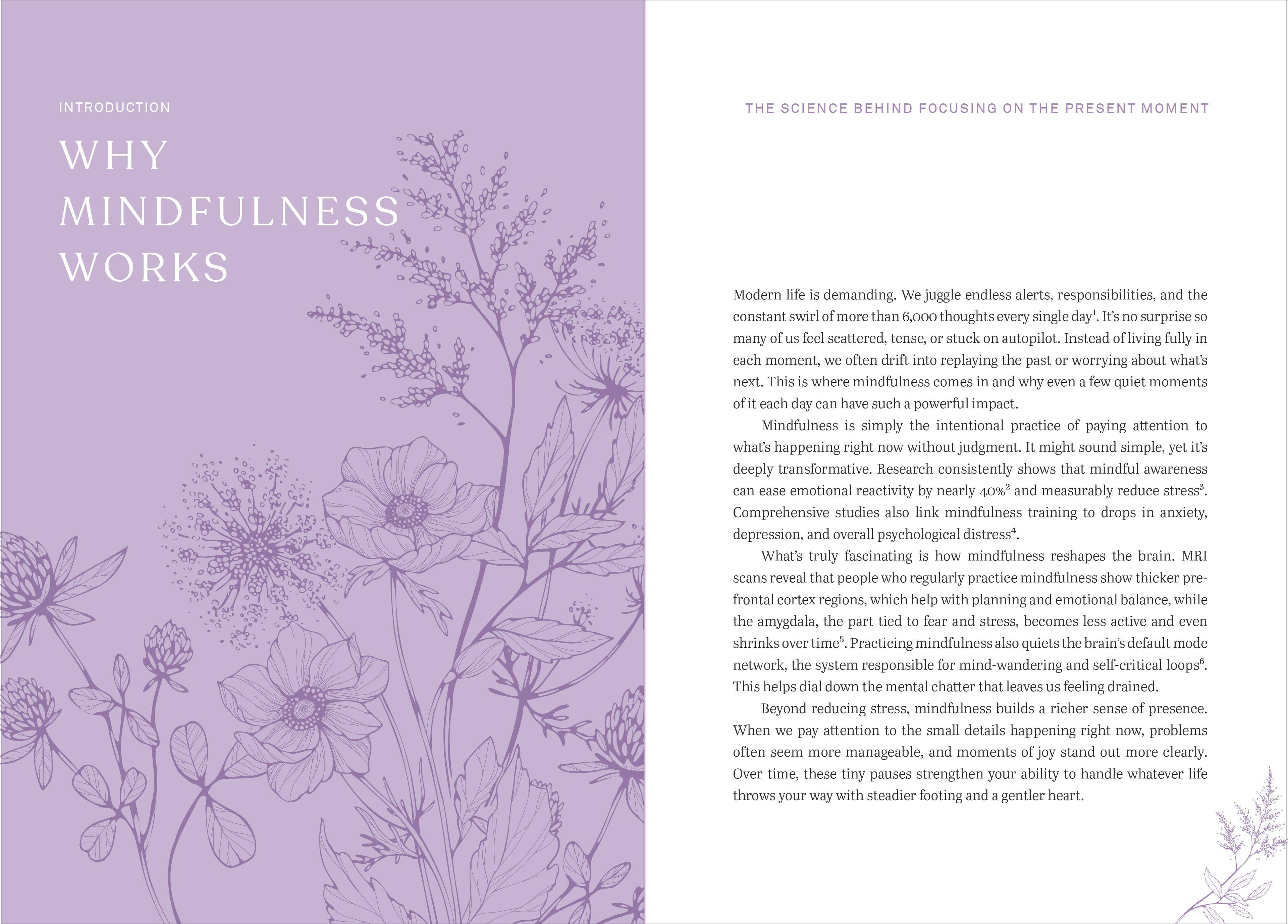 Mindfulness: A Five-Minute Guided Journal