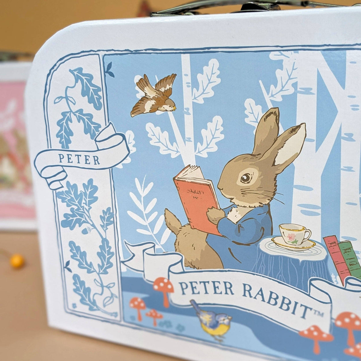 Beatrix Potter Children’s Triple Carry Case Set - Official 3-Piece Storage & Travel Cases