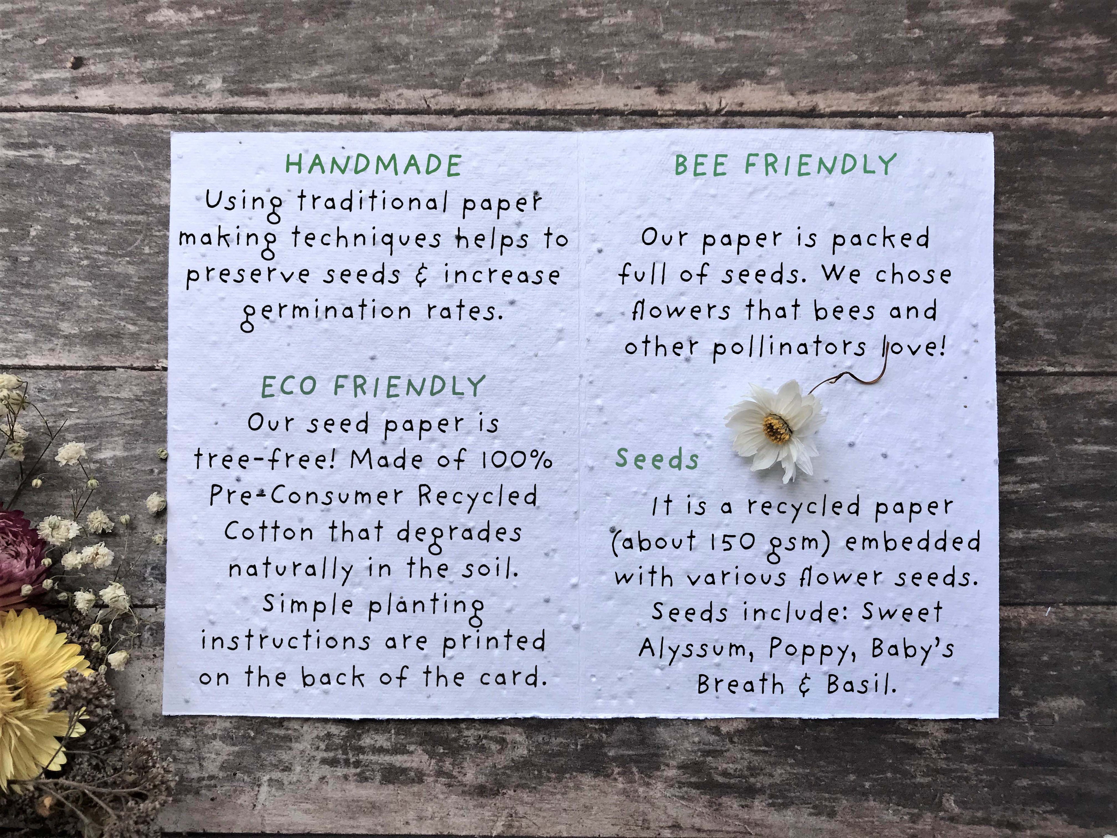 Plantable  Seed Paper Birthday Card, Blank Inside