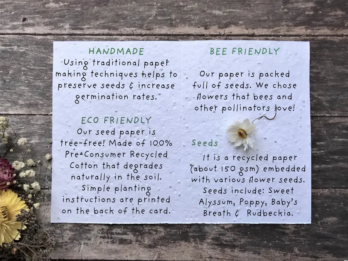 Plantable Seed Paper With Love Card, Blank Inside