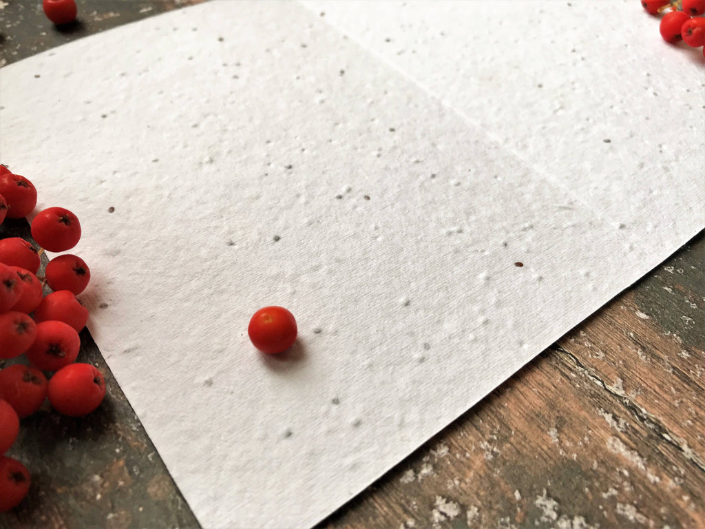 Plantable Seed Christmas Cards, illustrated Christmas Card