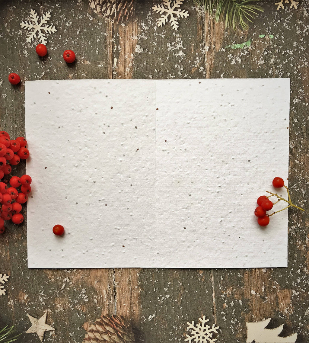 Plantable Seed Christmas Cards, illustrated Christmas Card