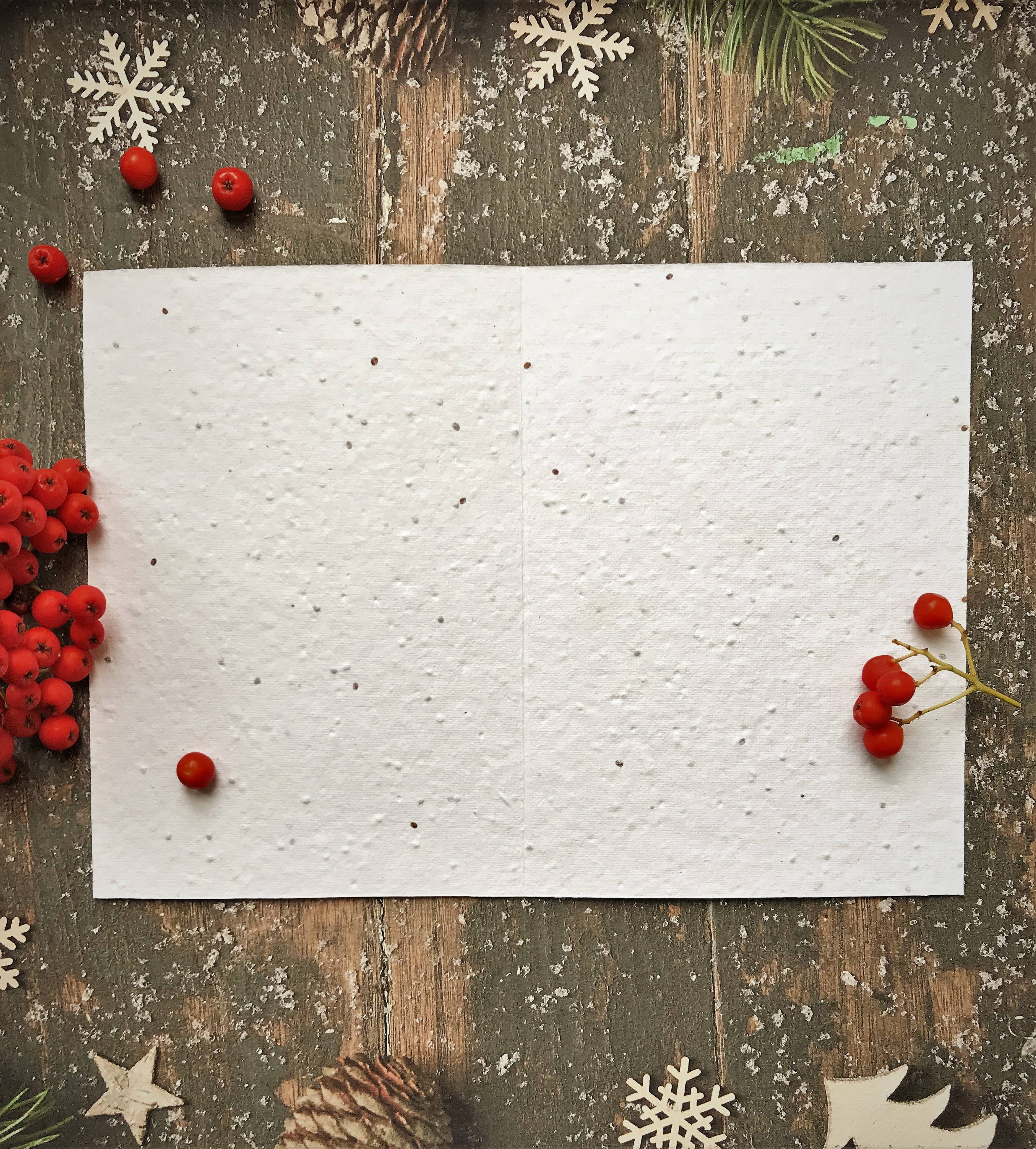 Plantable Seed Christmas Cards, illustrated Christmas Card