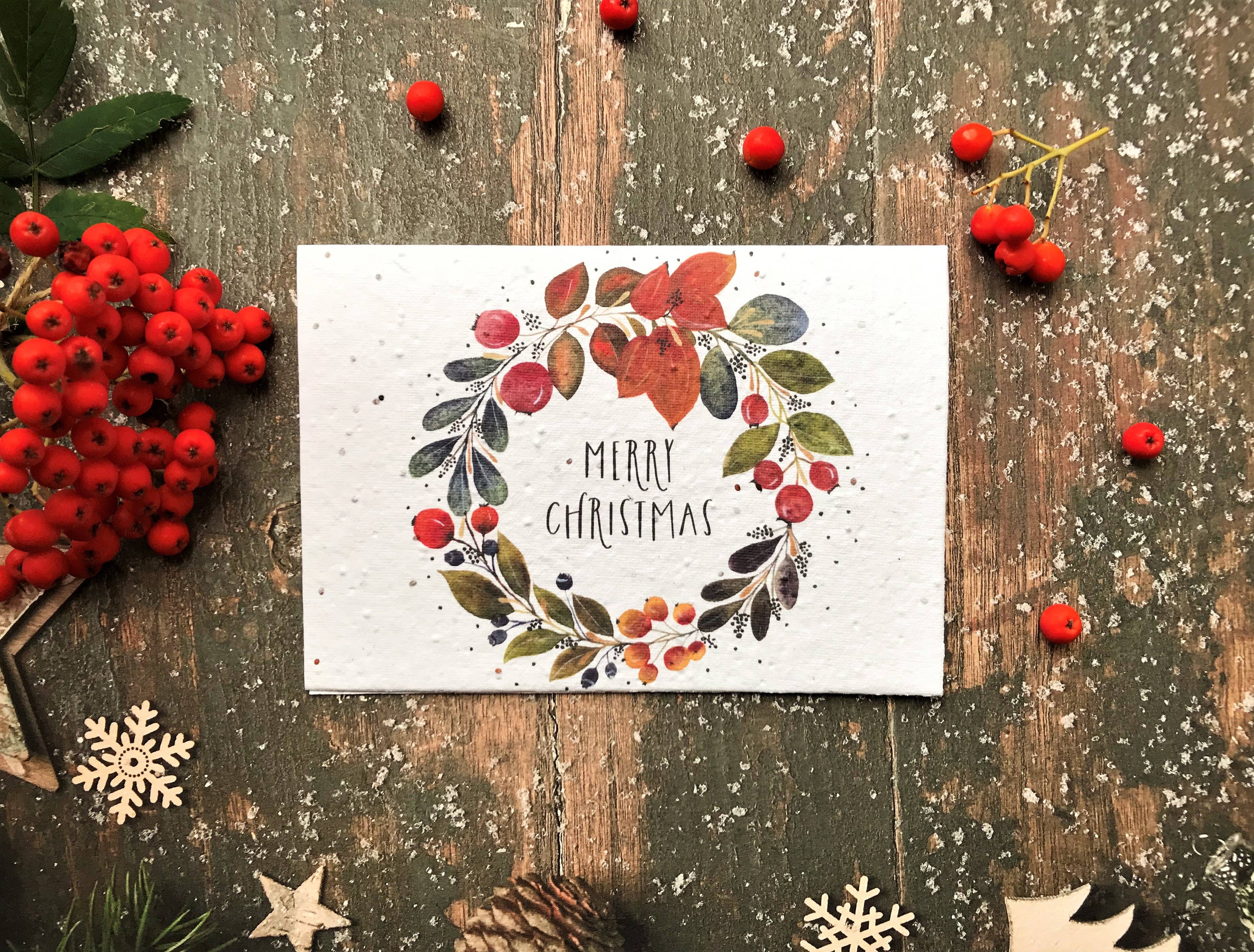 Plantable Seed Christmas Cards, illustrated Christmas Card