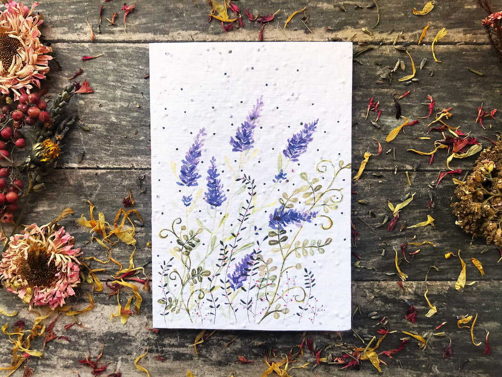 Plantable Seed Paper Birthday Card, Floral Note Cards