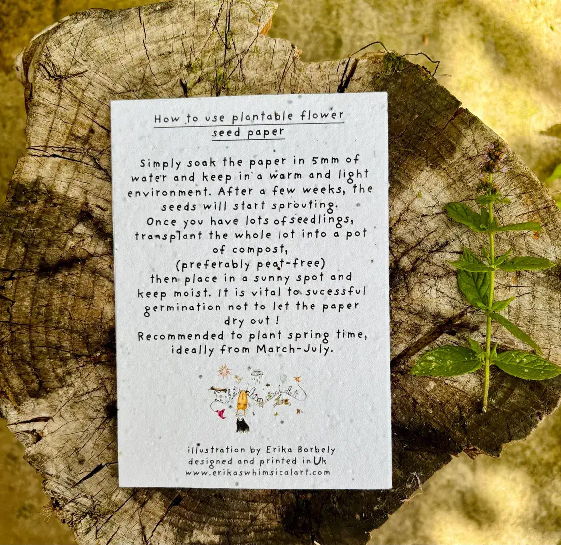 Plantable Seed Paper Birthday Card, Blank Inside