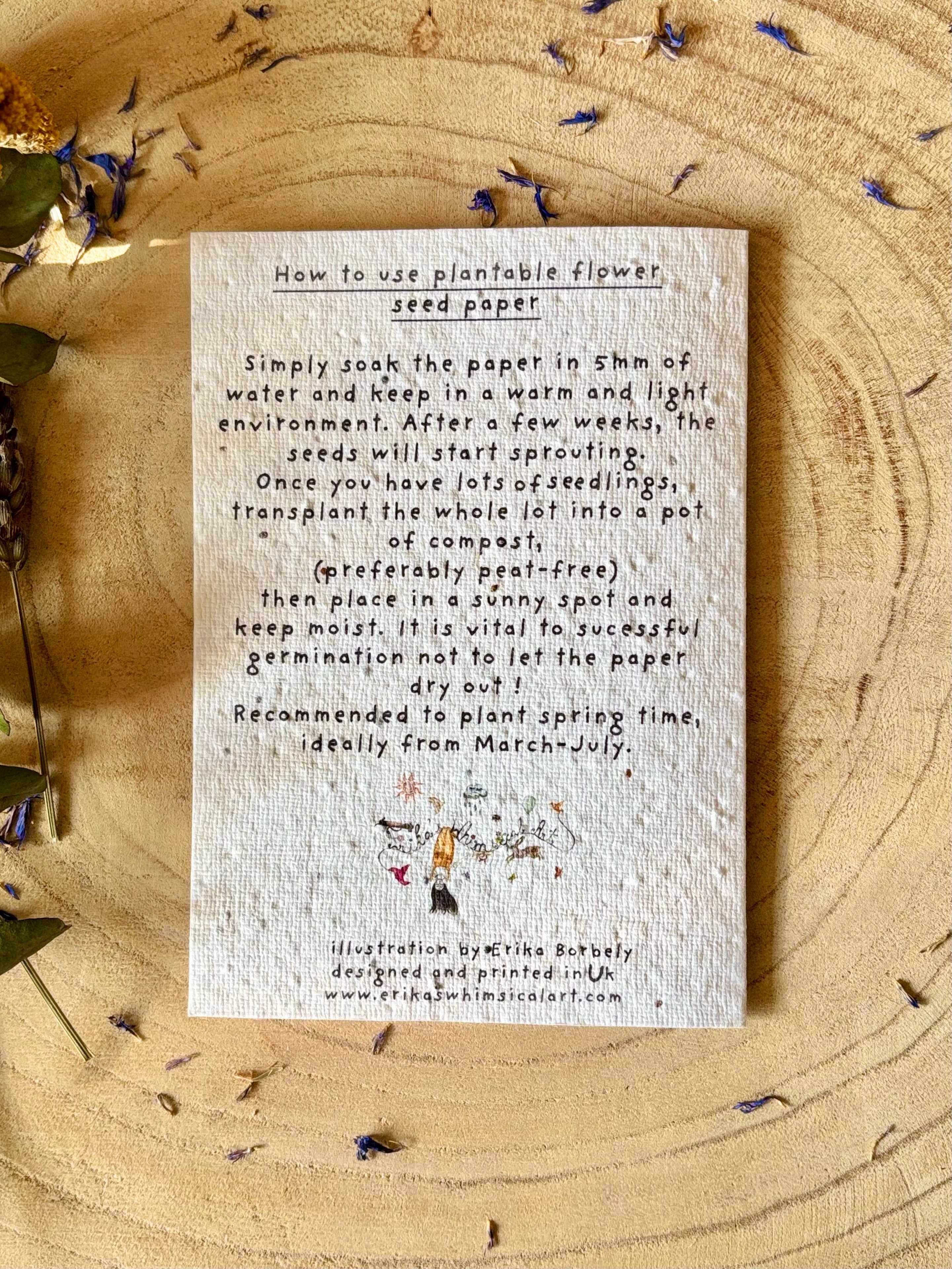 Plantable  Seed Paper Birthday Card, Blank Inside