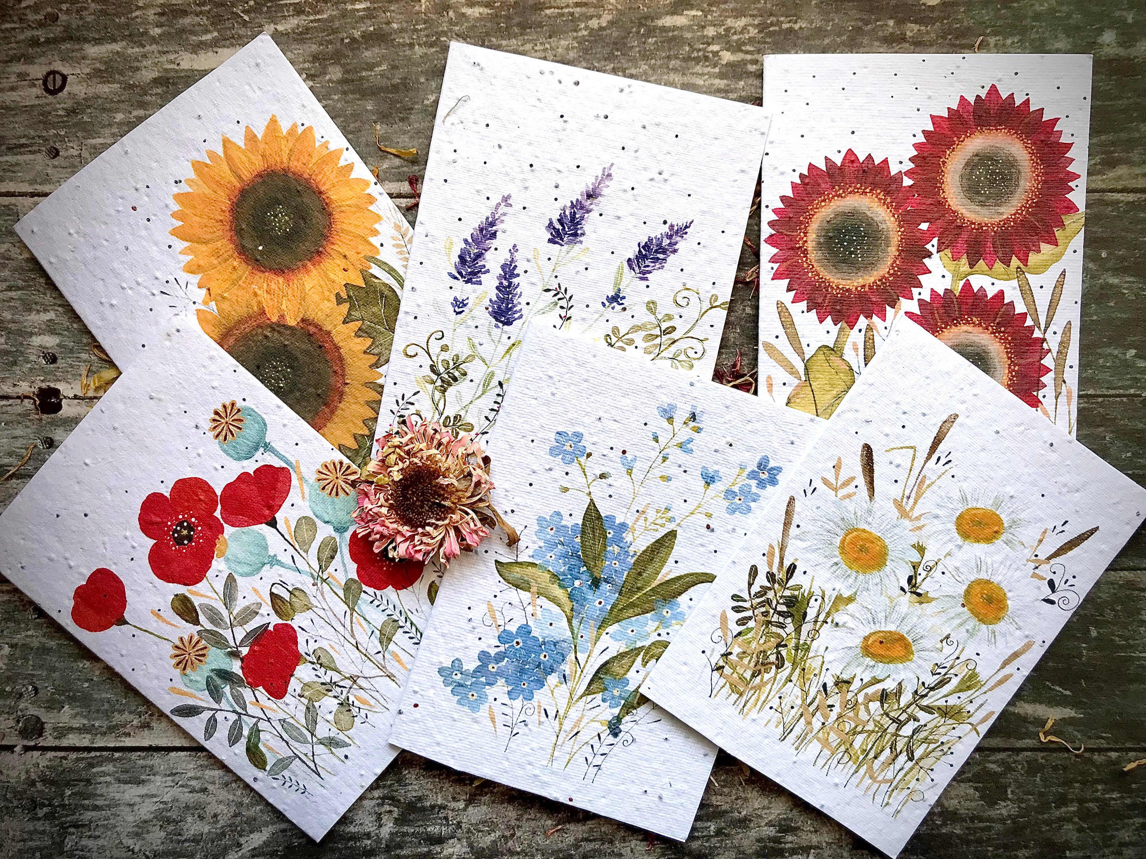Plantable Seed Paper Birthday Card, Floral Note Cards