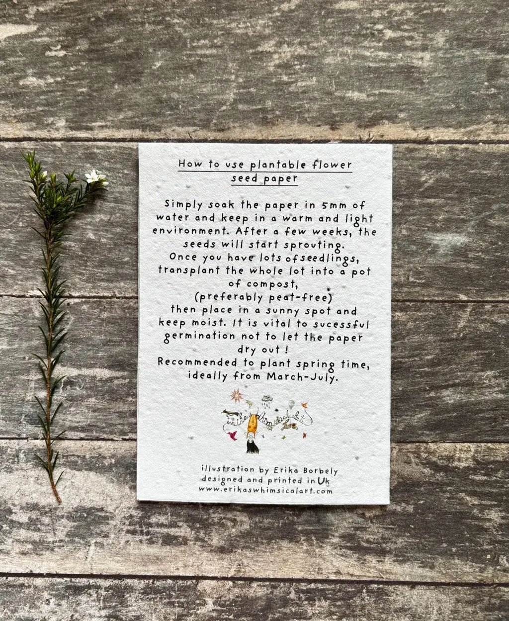 Plantable  Seed Paper Birthday Card, Blank Inside