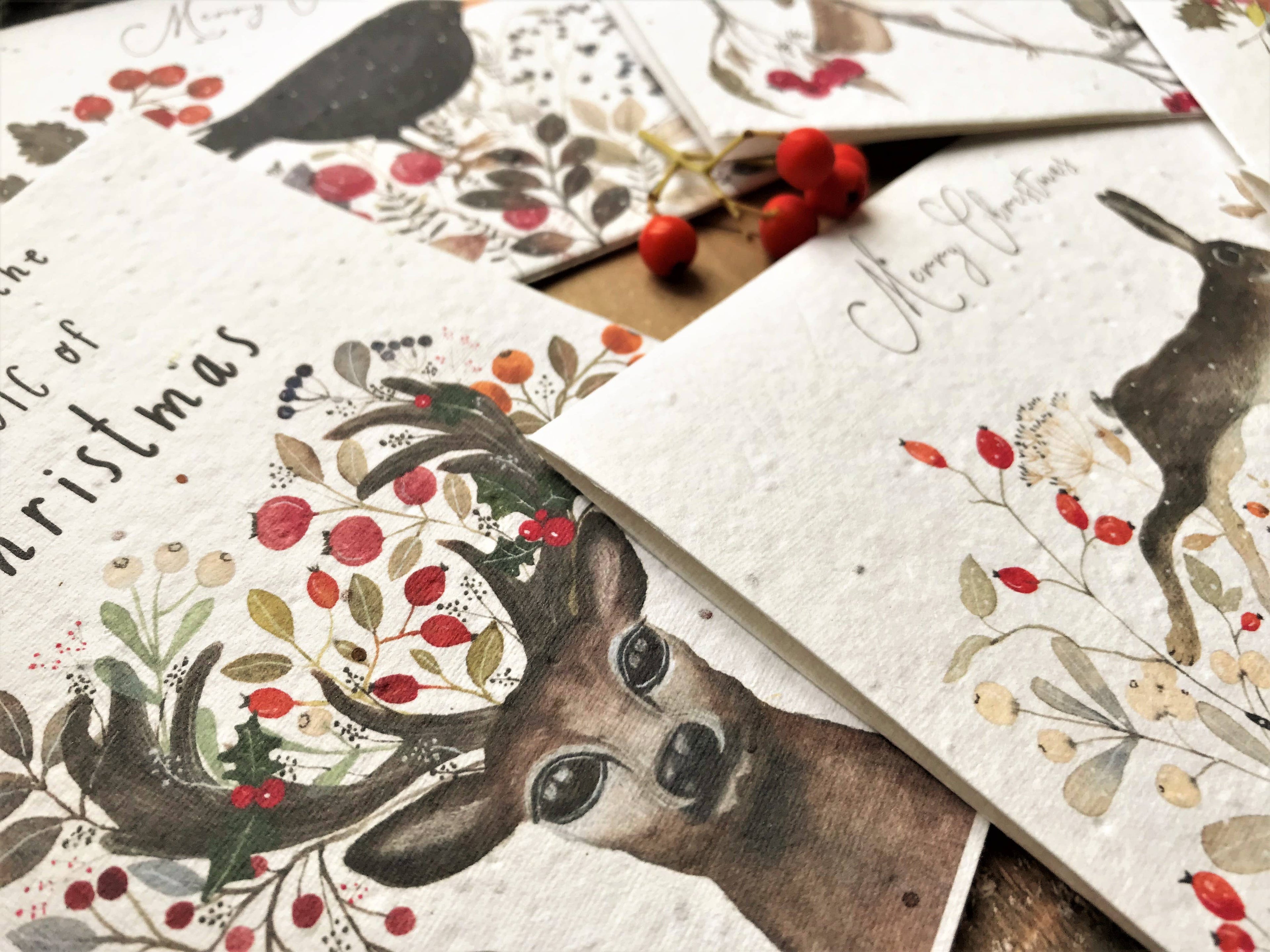 Plantable Seed Christmas Cards, illustrated Christmas Card